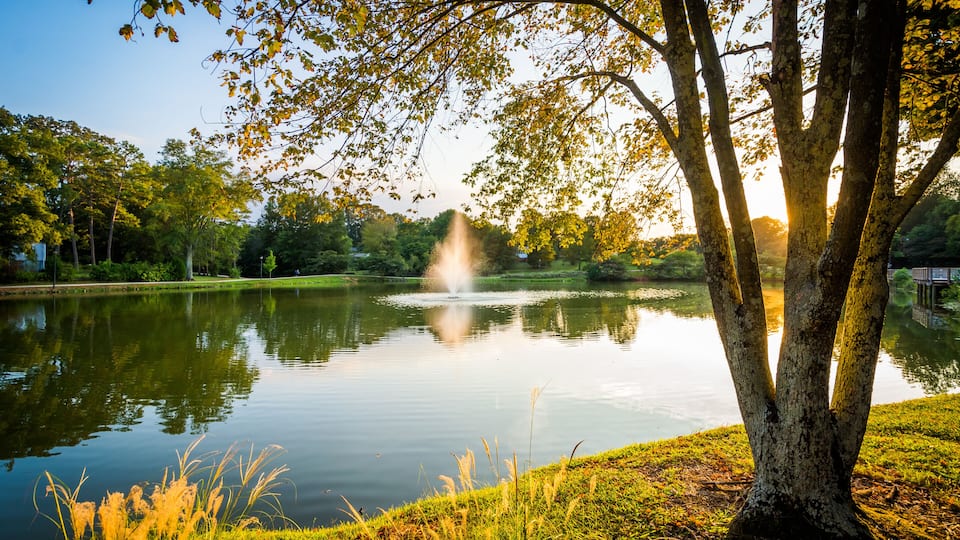Fountain and pond at Roosevelt Wilson Park at sunset, in Davidso