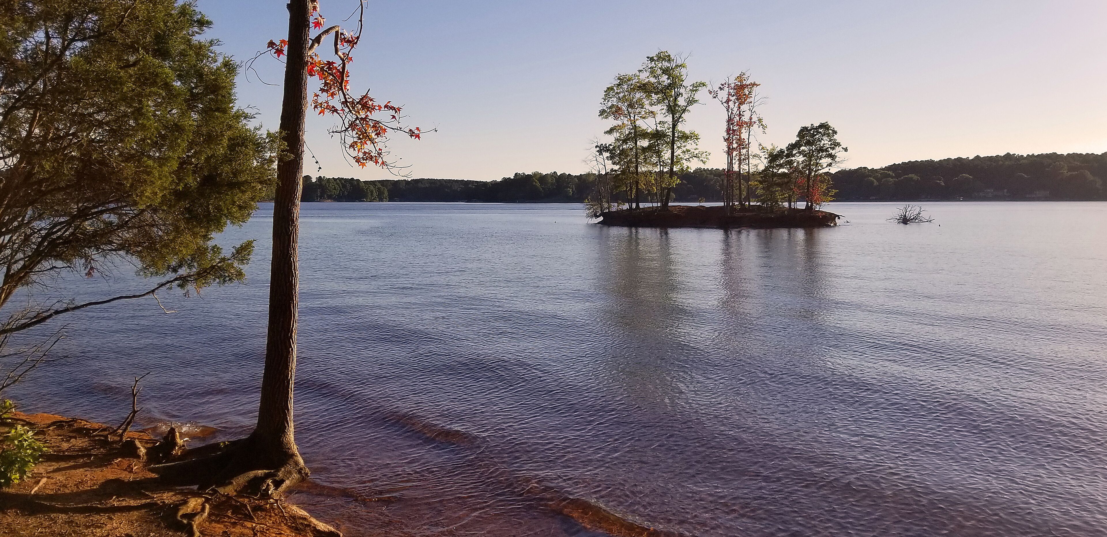 A calm lake with trees and a small island.