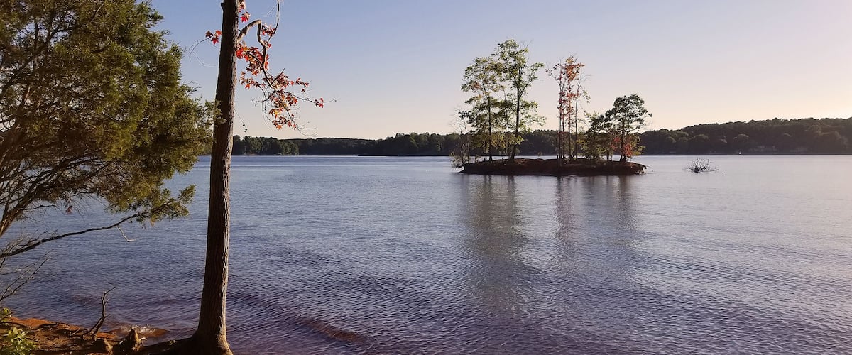 A calm lake with trees and a small island.