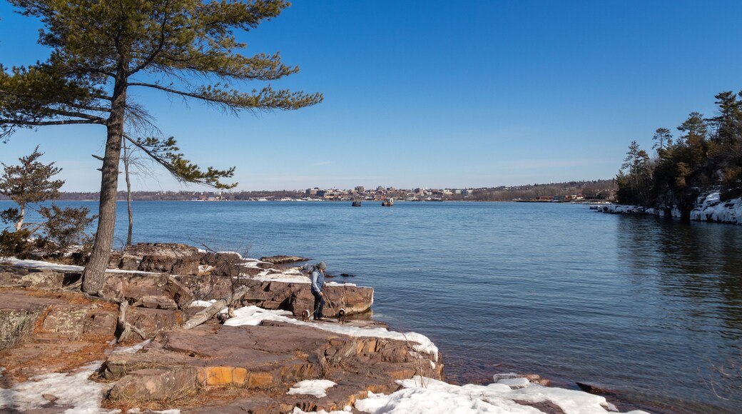 Centro de Burlington