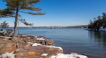 Trung tâm Burlington