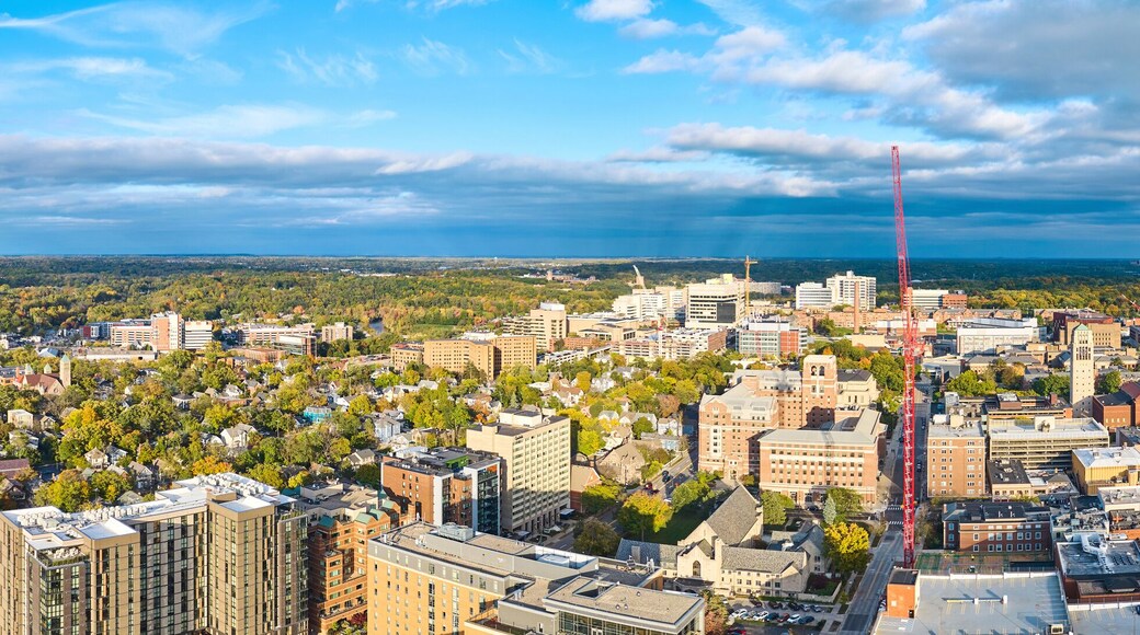 ดาวน์ทาวน์