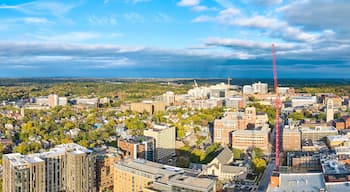 Aerial View of Urban Growth and Greenery in Ann Arbor, Panoramic Cityscape