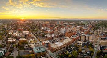 Ann Arbor, Michigan, USA Town Skyline