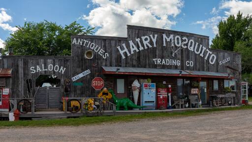 The Hairy Mosquito Trading Co. Antique store in Milaca, Minnesota near Mille Lacs Lake. Lots of interesting antiques and nostalgia in several buildings.