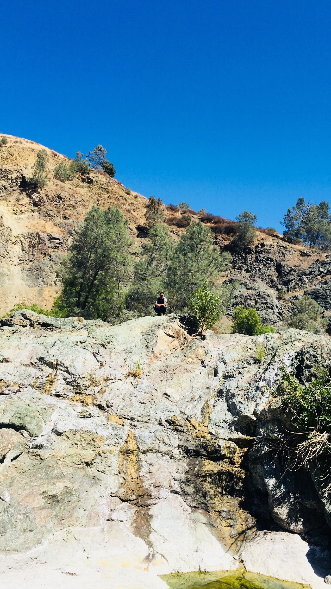 cute walk in nature.