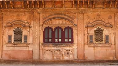 Beautifully designed windows of Nand Bhawan, the meeting hall, Deeg Palace, Deeg, Rajasthan, India.