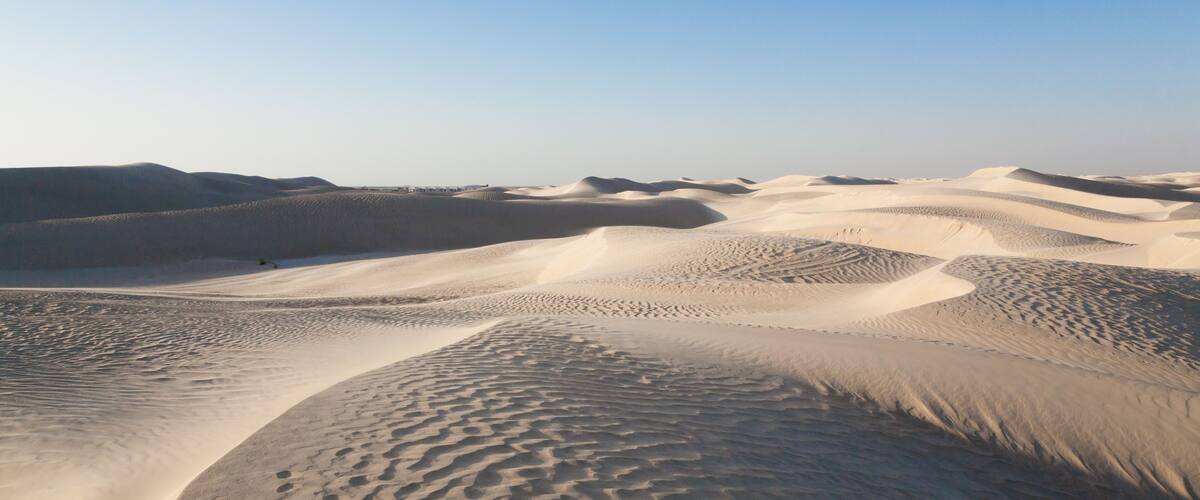 A vast desert landscape with undulating sand dunes under a clear sky.