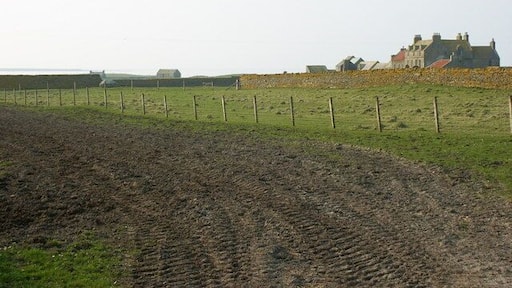 Scar Farm, Sanday Very grand farmhouse, and extensive farm buildings. What's interesting though is the erratic sitting near the wall in the middle distance, left-centre.