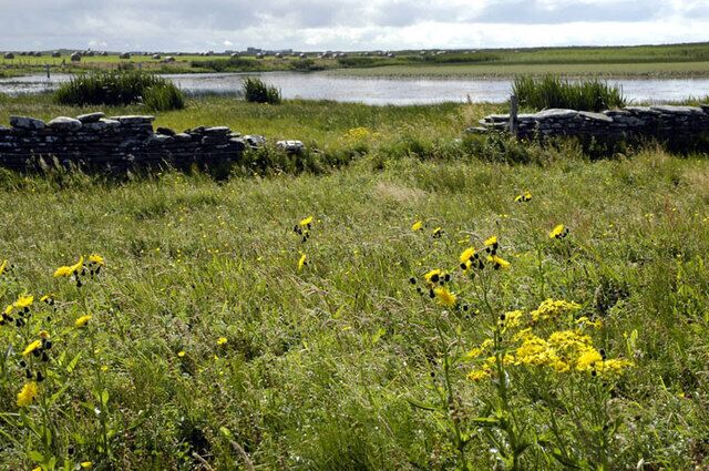 North end of Burness. Looking south