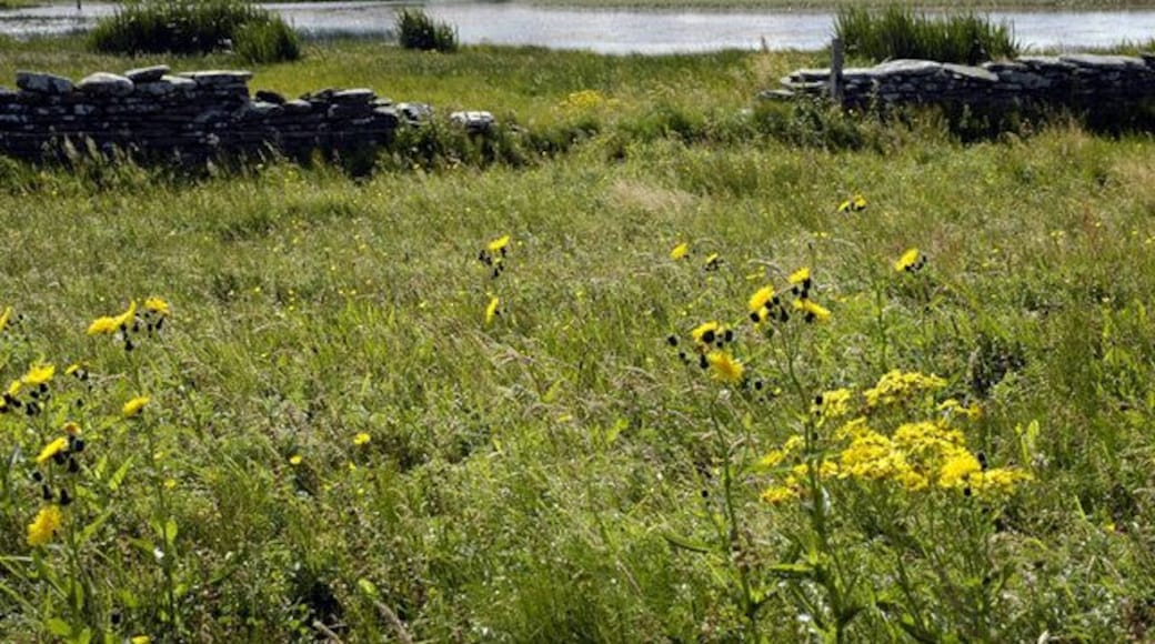 North end of Burness. Looking south