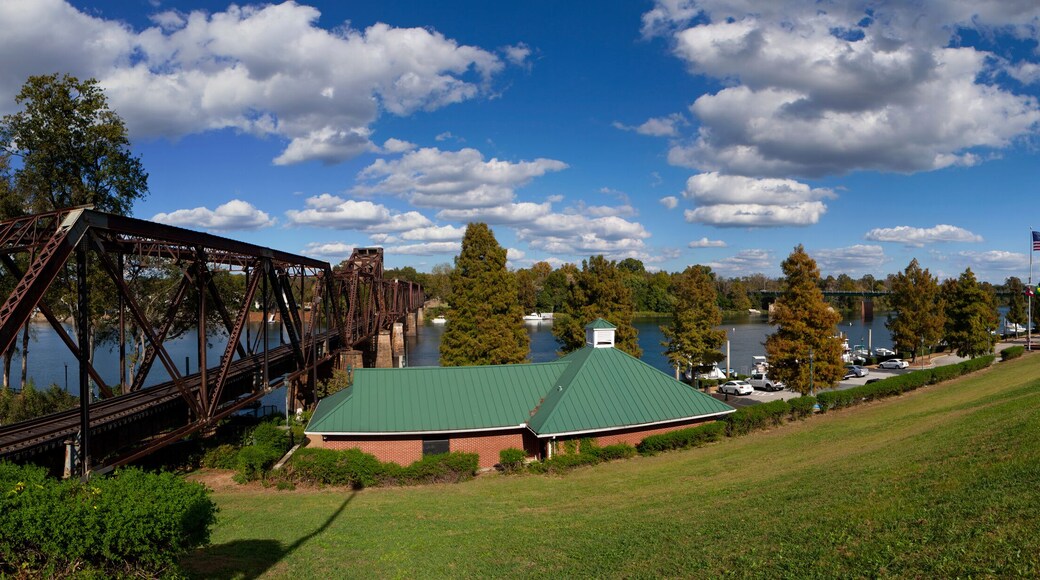 ๋ ์ดํฌ๋ชฌํธ