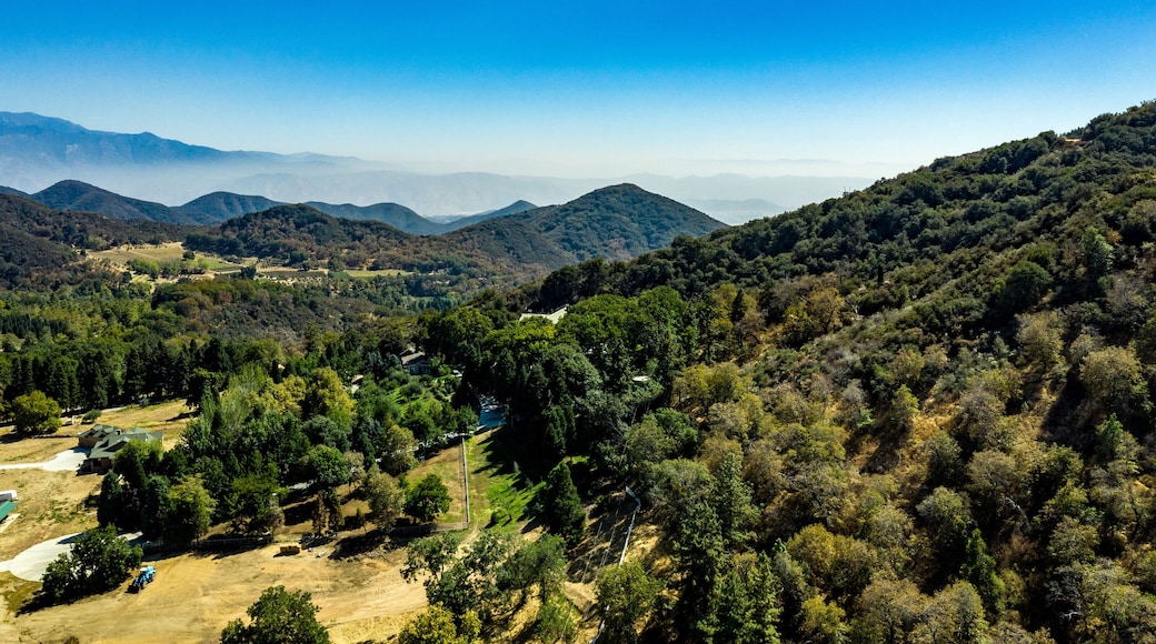 ๋ฐธ๋ฆฌ ๋ทฐ