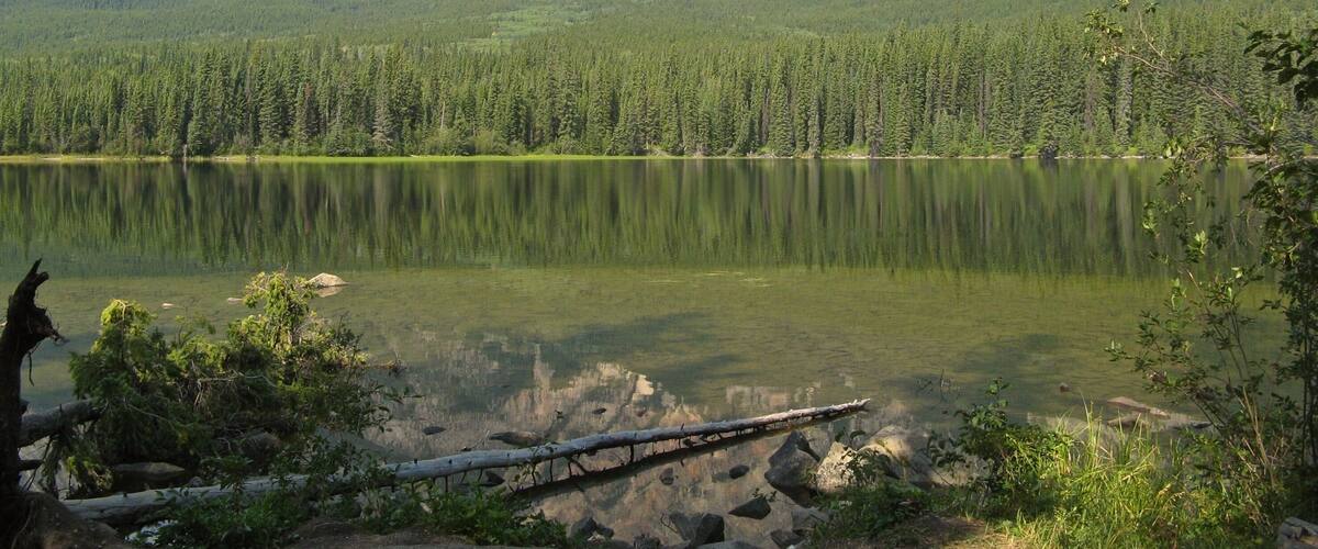 Quiet lake scene at Pyramid Lake