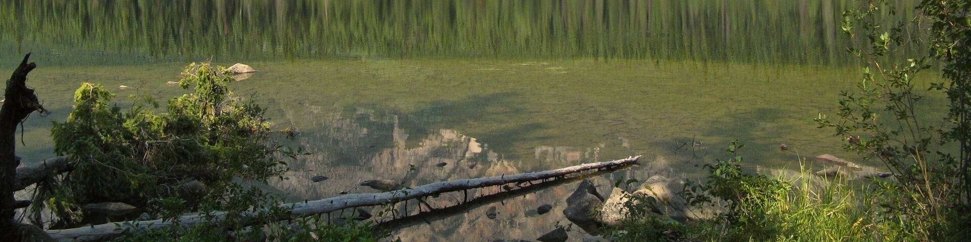 Un lac paisible, entouré d’une forêt dense et de montagnes escarpées.