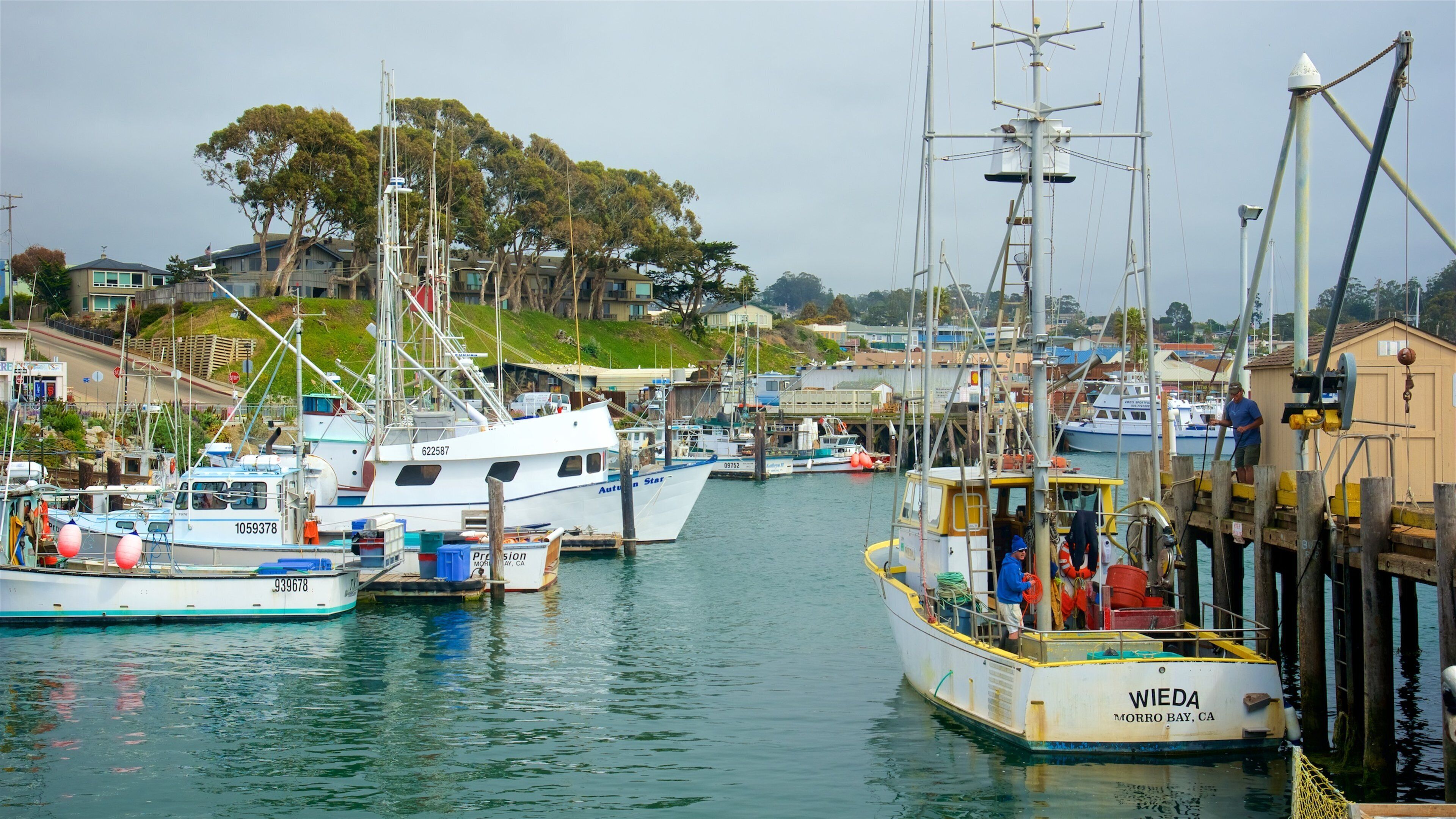 Morro Bay which includes a bay or harbor
