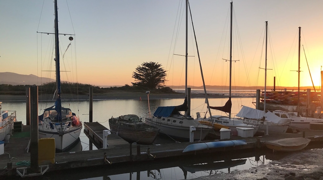 Sunset at Morro Bay ☀️