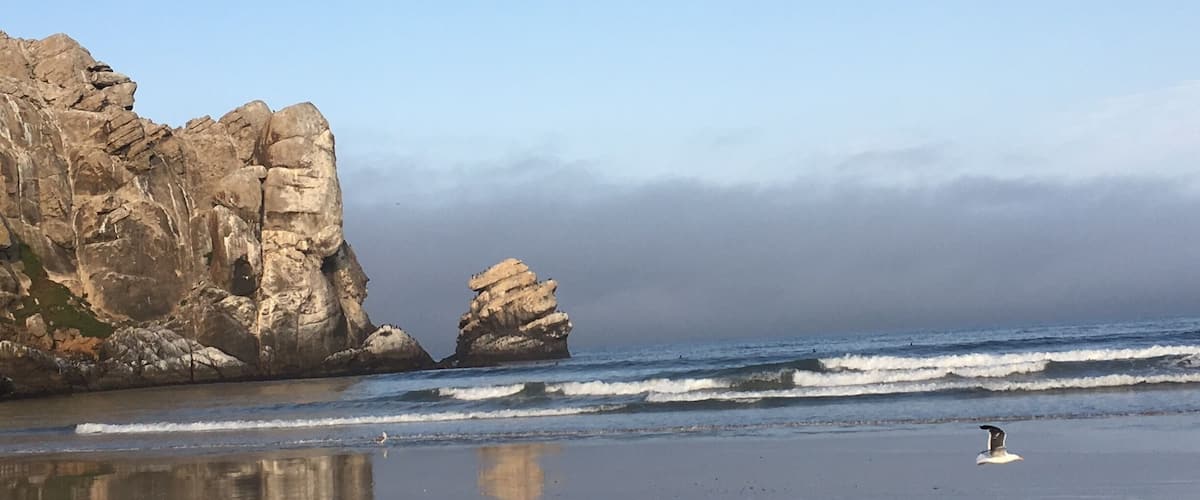 The “chess piece”that was adjacent to the “rock”, Sunday morning 8ish, NO ONE was there except us, I ran down the beach, powerful and peaceful.