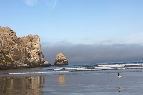 The “chess piece”that was adjacent to the “rock”, Sunday morning 8ish, NO ONE was there except us, I ran down the beach, powerful and peaceful.