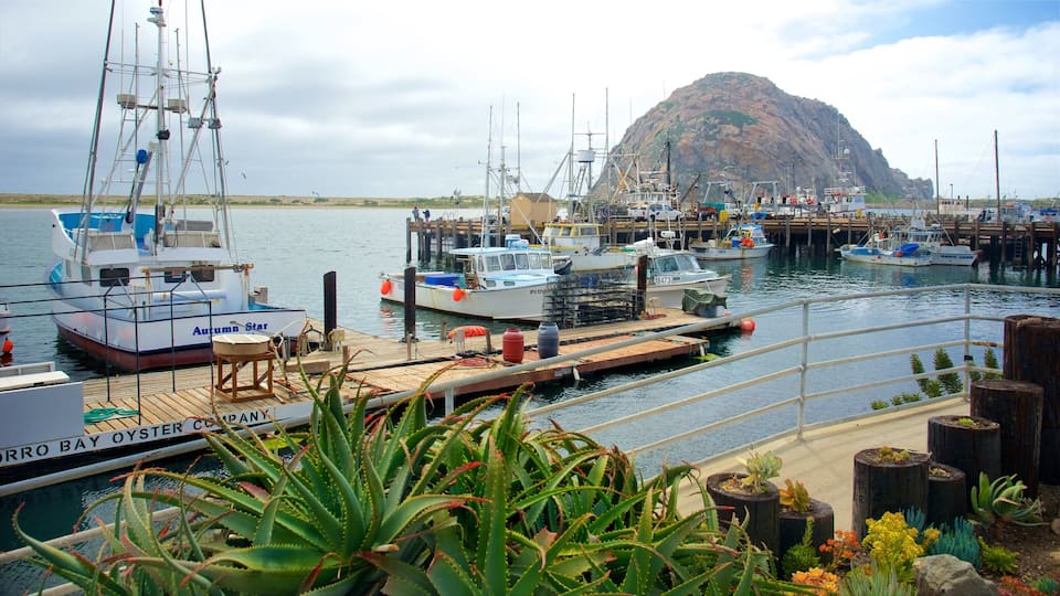 A harbor with multiple boats docked, a rocky island in the background, and various plants in the foreground.