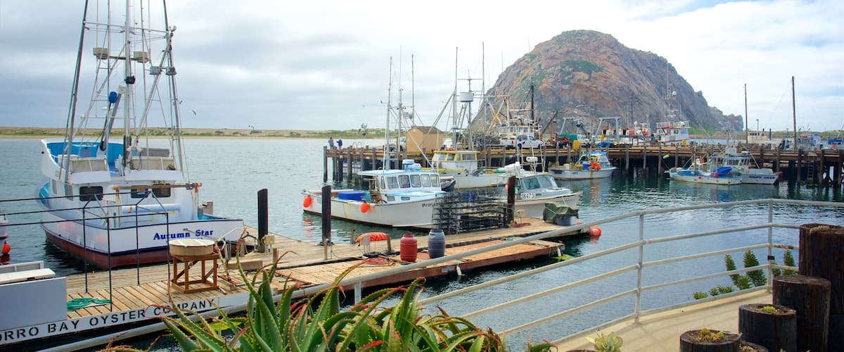 A harbor with multiple boats docked, a rocky island in the background, and various plants in the foreground.