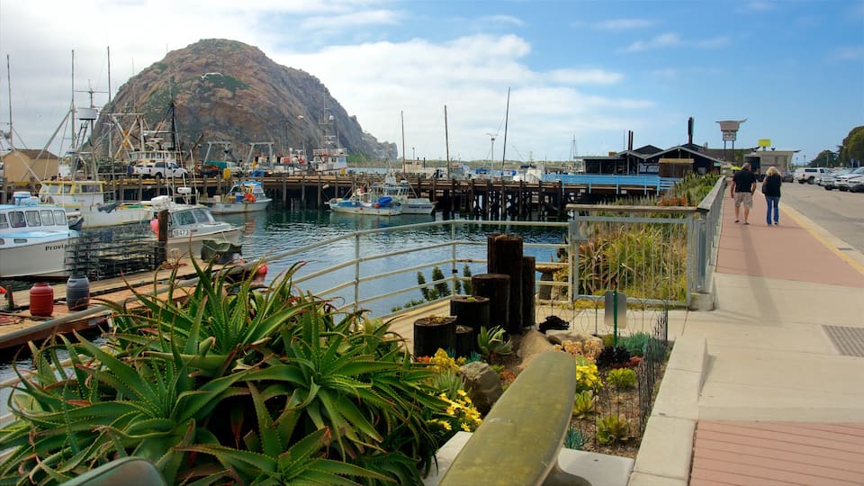 A marina with boats docked, a mountain in the background, and a pedestrian walkway.