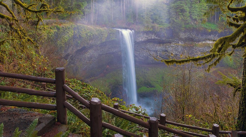 Hiking Trails at Silver Falls State Park in Oregon USA America