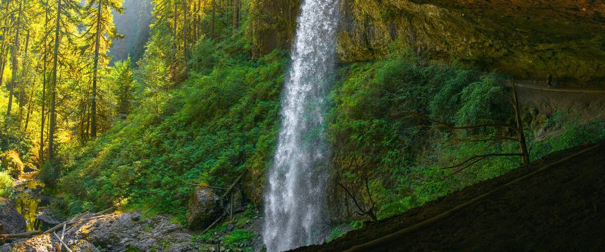 Rainforest waterfalls overflowing from the volcanic rock cave at at North Falls in the Silver Falls State Park near Salem, Marion County, Oregon