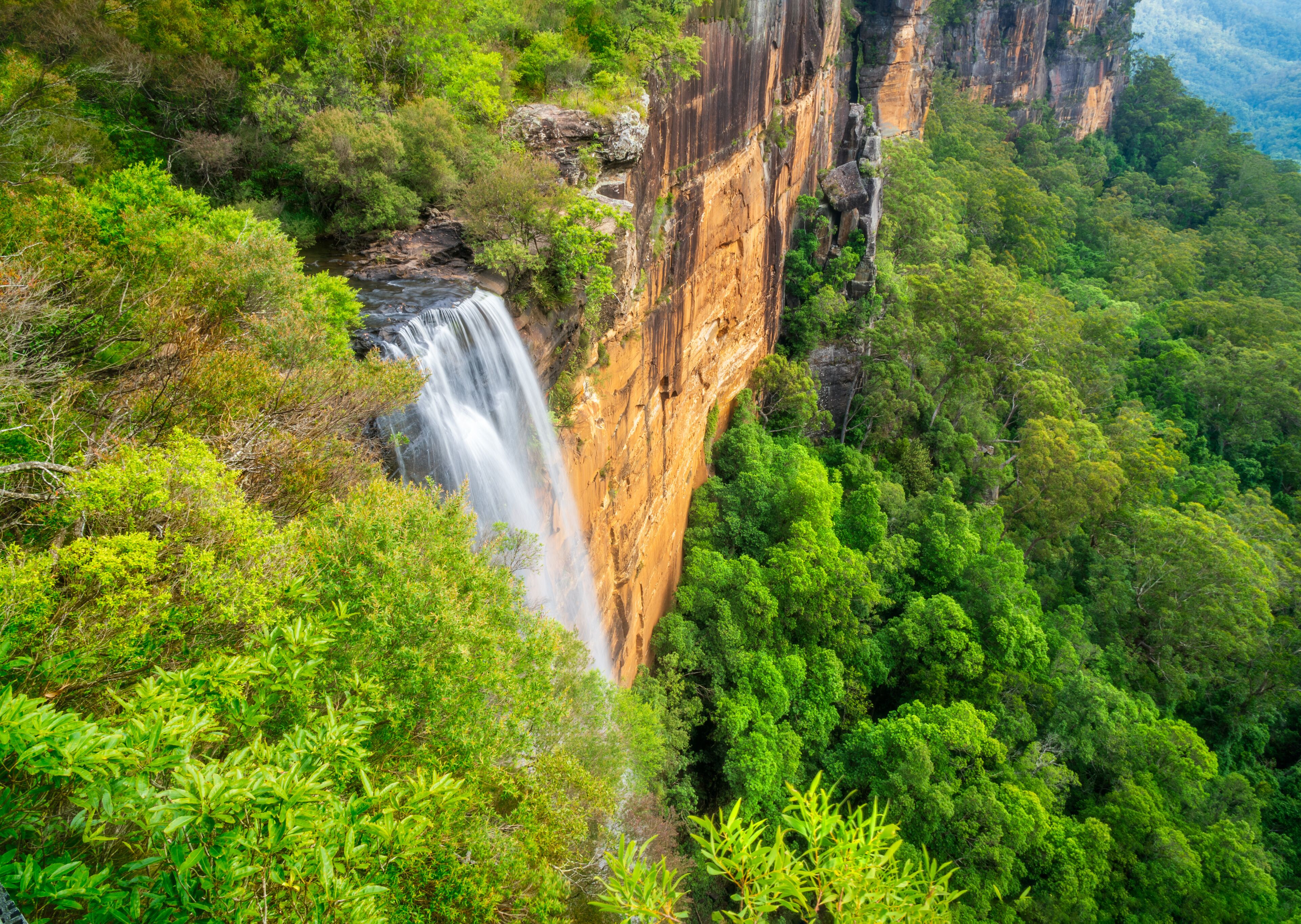 Una cascada se precipita por un acantilado empinado rodeado de un denso bosque verde.