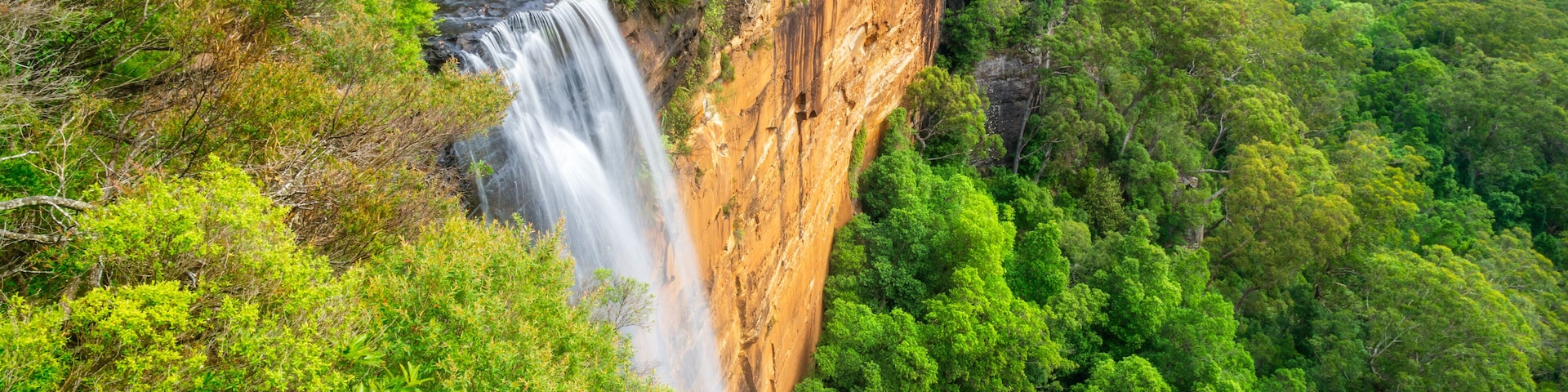 Una cascada se precipita por un acantilado empinado rodeado de un denso bosque verde.