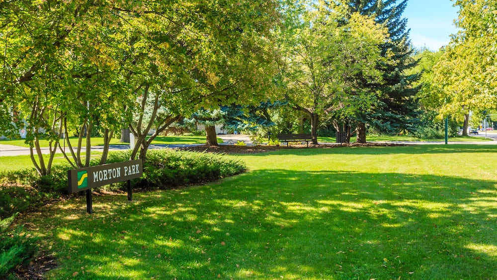 Ein Park mit einem Schild, auf dem 'Morton Park' steht, umgeben von üppigem Grün und Bäumen.