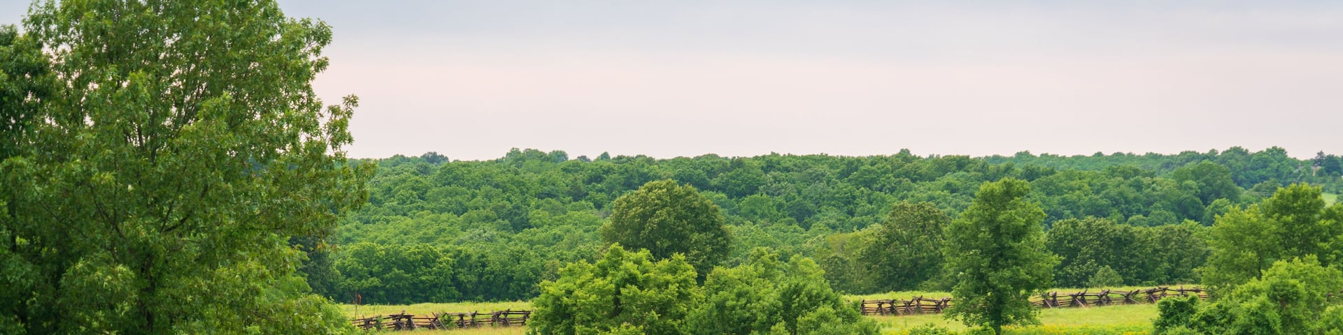 A rural landscape with rolling hills, dense green forests, and a wooden fence.