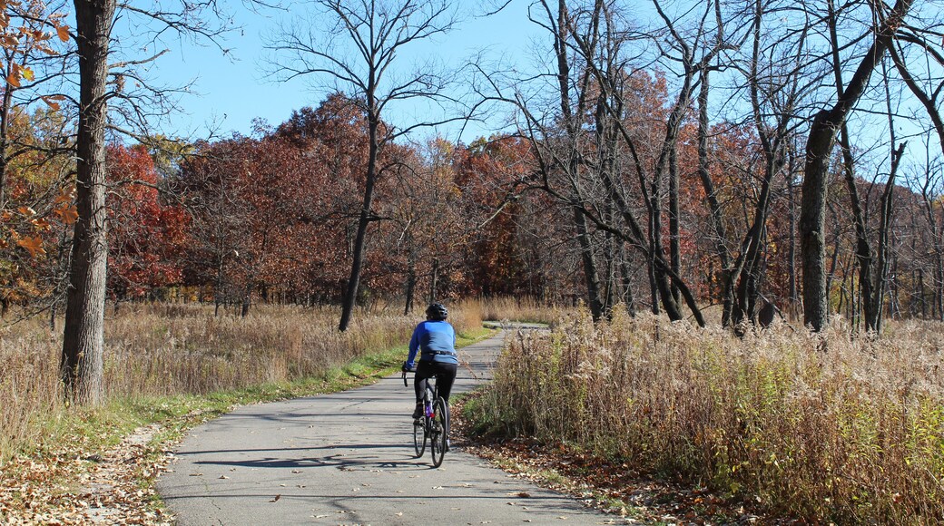 Man riding a bicycle in fall on a sunny day at Miami Woods on the North Branch Trail in Morton Grove, Illinois