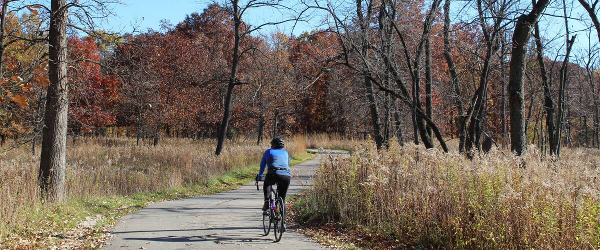 Man riding a bicycle in fall on a sunny day at Miami Woods on the North Branch Trail in Morton Grove, Illinois