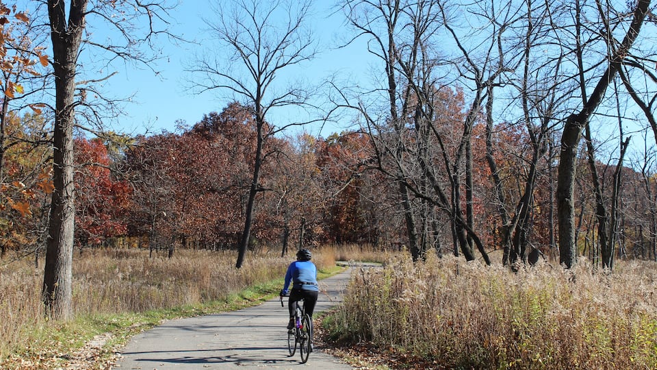 A cyclist on a paved path surrounded by trees with autumn foliage.
