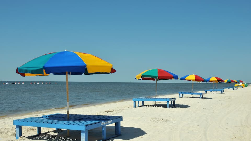 A beach with rows of colorful umbrellas and blue rental benches.