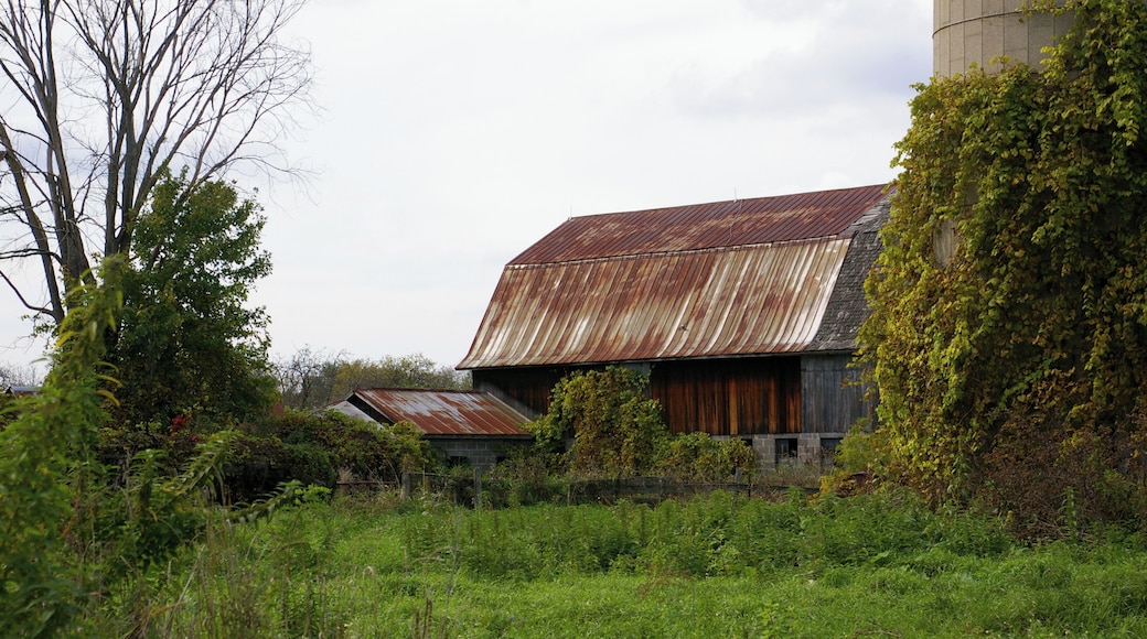 Mount Clemens is about 20 miles North of Detroit. Much of the land North of Mount Clemens is farmland. Many of the the barns have seen better days. I see them as Photographic opportunities.