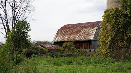Mount Clemens is about 20 miles North of Detroit. Much of the land North of Mount Clemens is farmland. Many of the the barns have seen better days. I see them as Photographic opportunities.