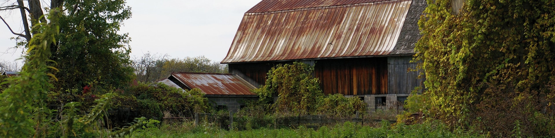 Mount Clemens is about 20 miles North of Detroit. Much of the land North of Mount Clemens is farmland. Many of the the barns have seen better days. I see them as Photographic opportunities.