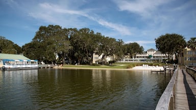 H9E5YD Mount Dora Florida USA - Lakeside property and beach of Lake Dora