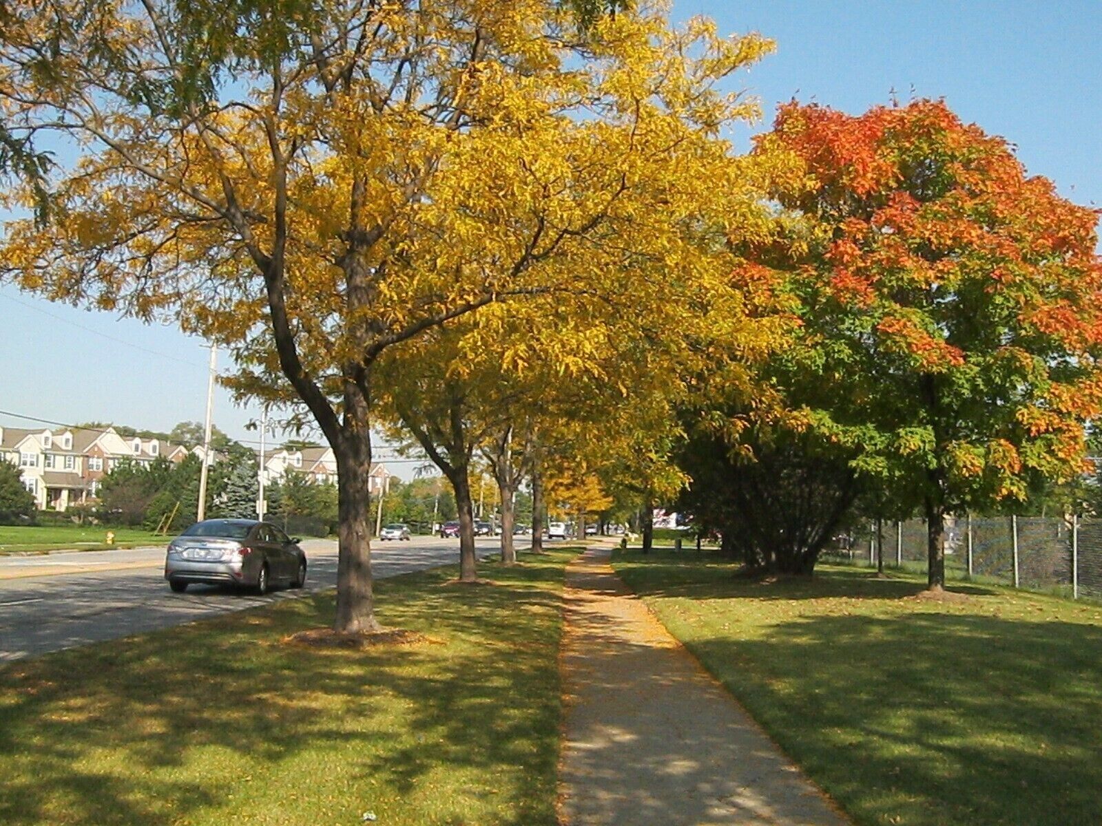 Mount Prospect - lazy town but very soothing 