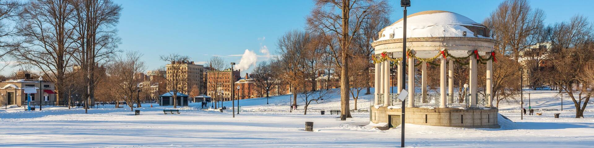 View on Boston public garden at winter