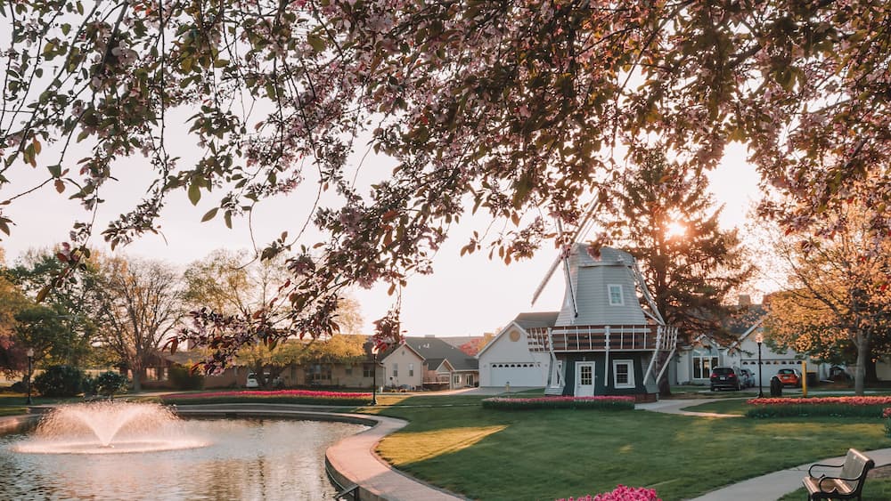 Cement sidewalk with beds of pink tulips leading around Pella's Sunken Gardens Park at sunrise. Manicured grass with beds of tulips, pond, Dutch windmill, fountain, and iron bench in Pella, Iowa, USA.