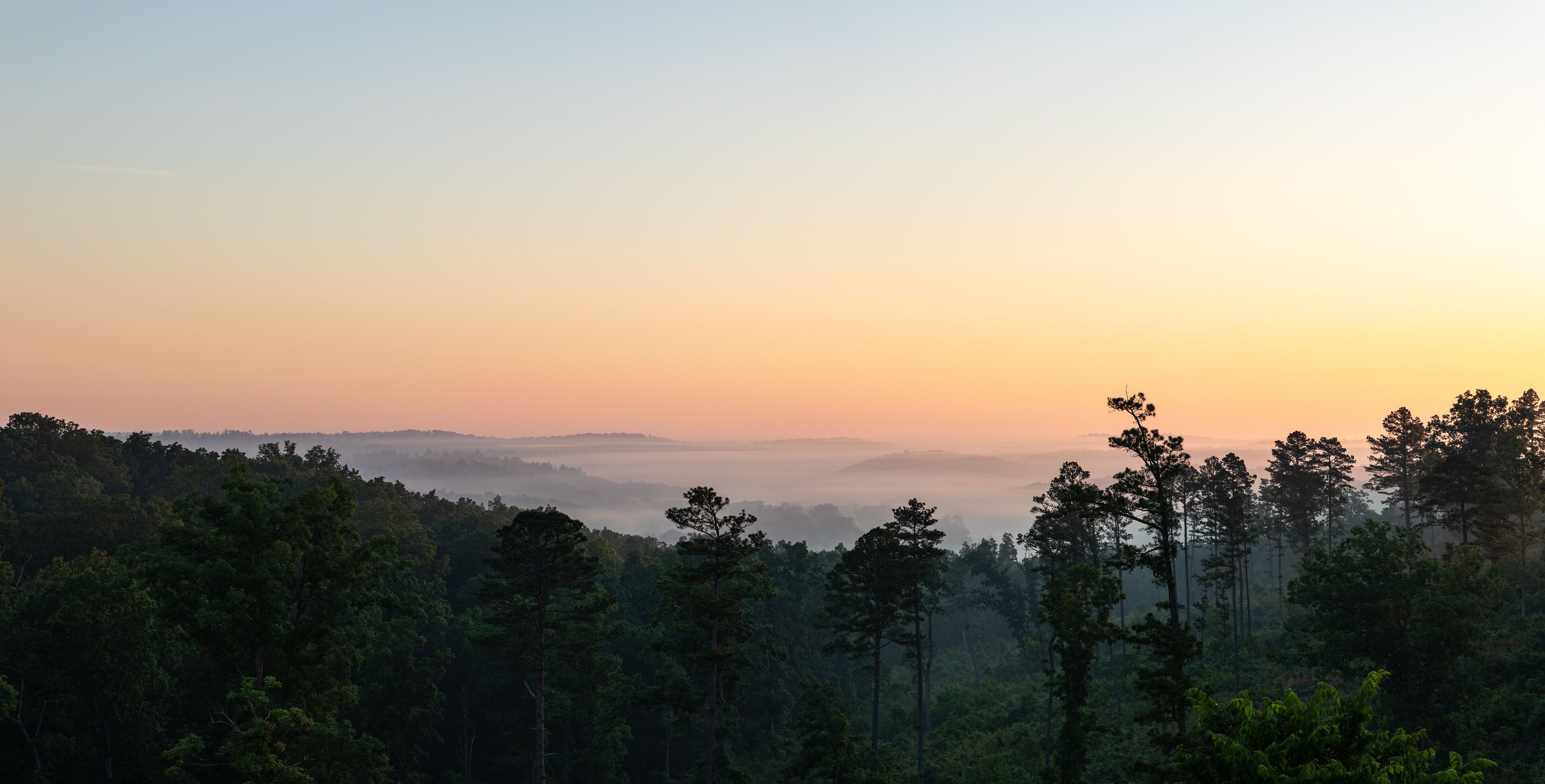 A forested landscape with a misty horizon and a gradient sky.