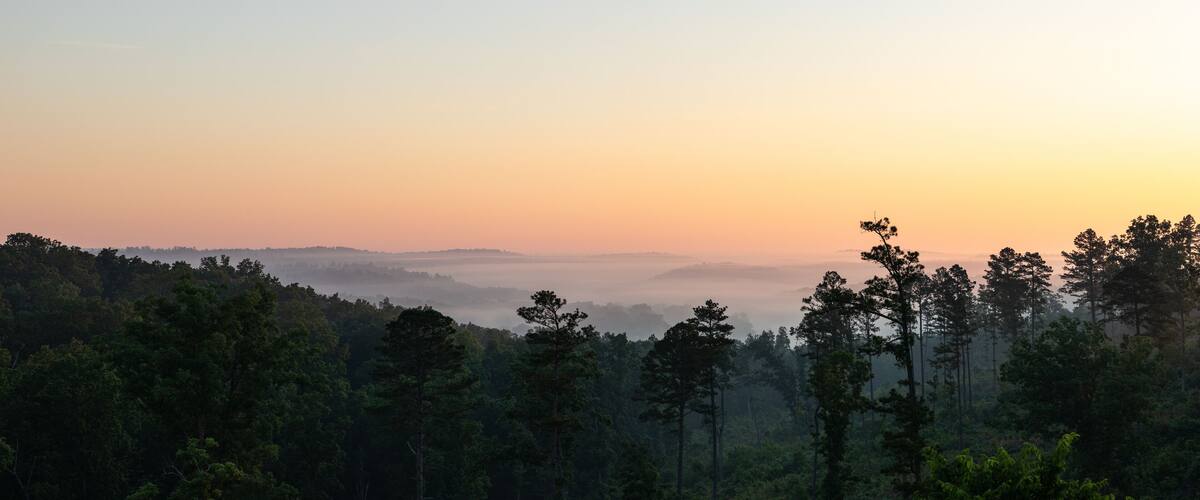 A forested landscape with a misty horizon and a gradient sky.