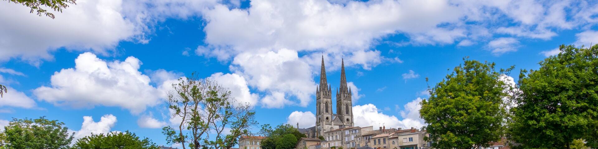 A view of Niort from the quay of Sevre Niortaise river, Deux-Sevres, Poitou-Charentes region, France