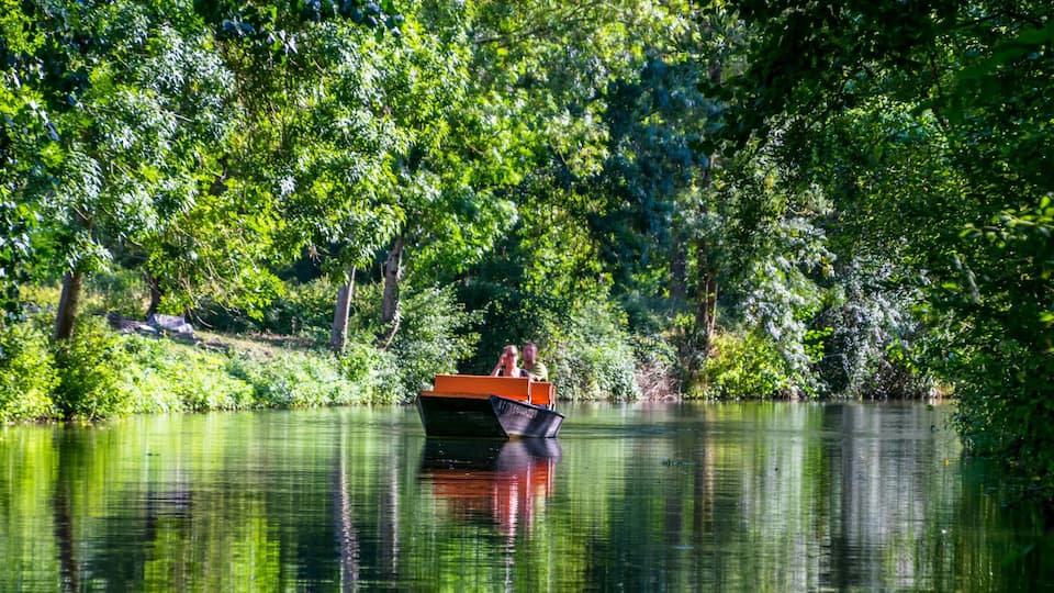 A boat on a calm river surrounded by dense green foliage.