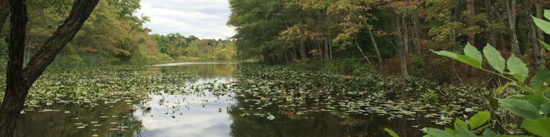 Rare beauty close to home!