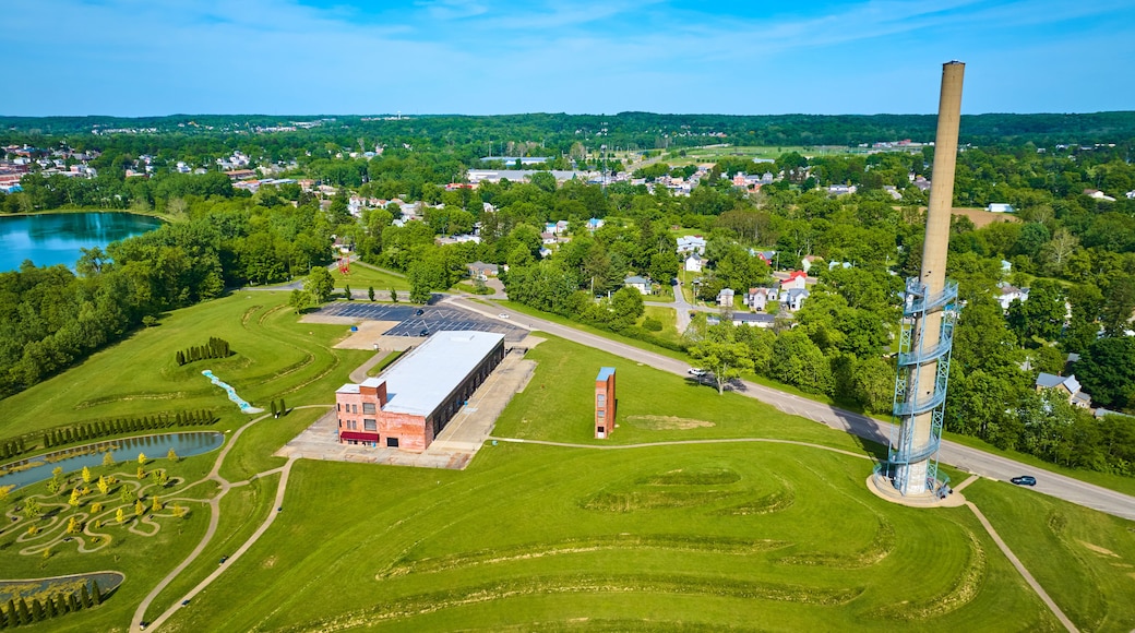 Aerial Ariel Foundation Park Rastin Observation Tower with factory building and tree path