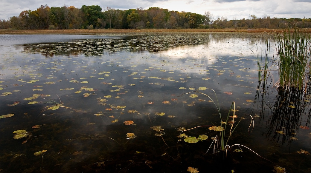 An overcast fall day on Lake Defiance, Moraine Hills State Park, McHenry, Illinois.